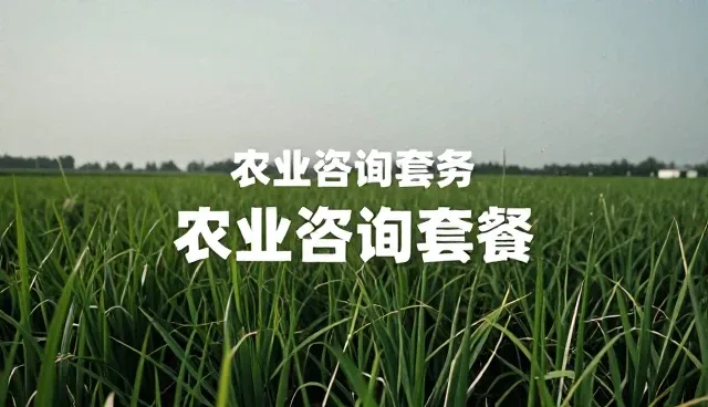 应急响应机制在农业咨询中的实际应用与性能考量